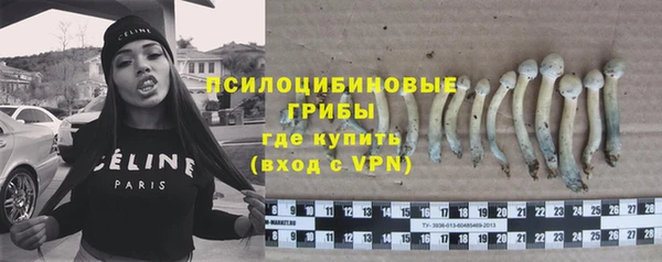 сатива Белокуриха