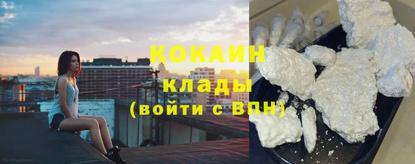 сатива Белокуриха