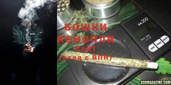 сатива Белокуриха