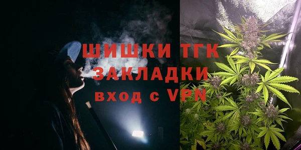 сатива Белокуриха
