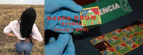 сатива Белокуриха